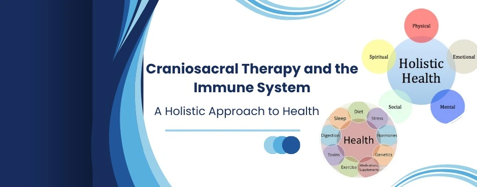 craniosacral-therapy-and-the-immune-system